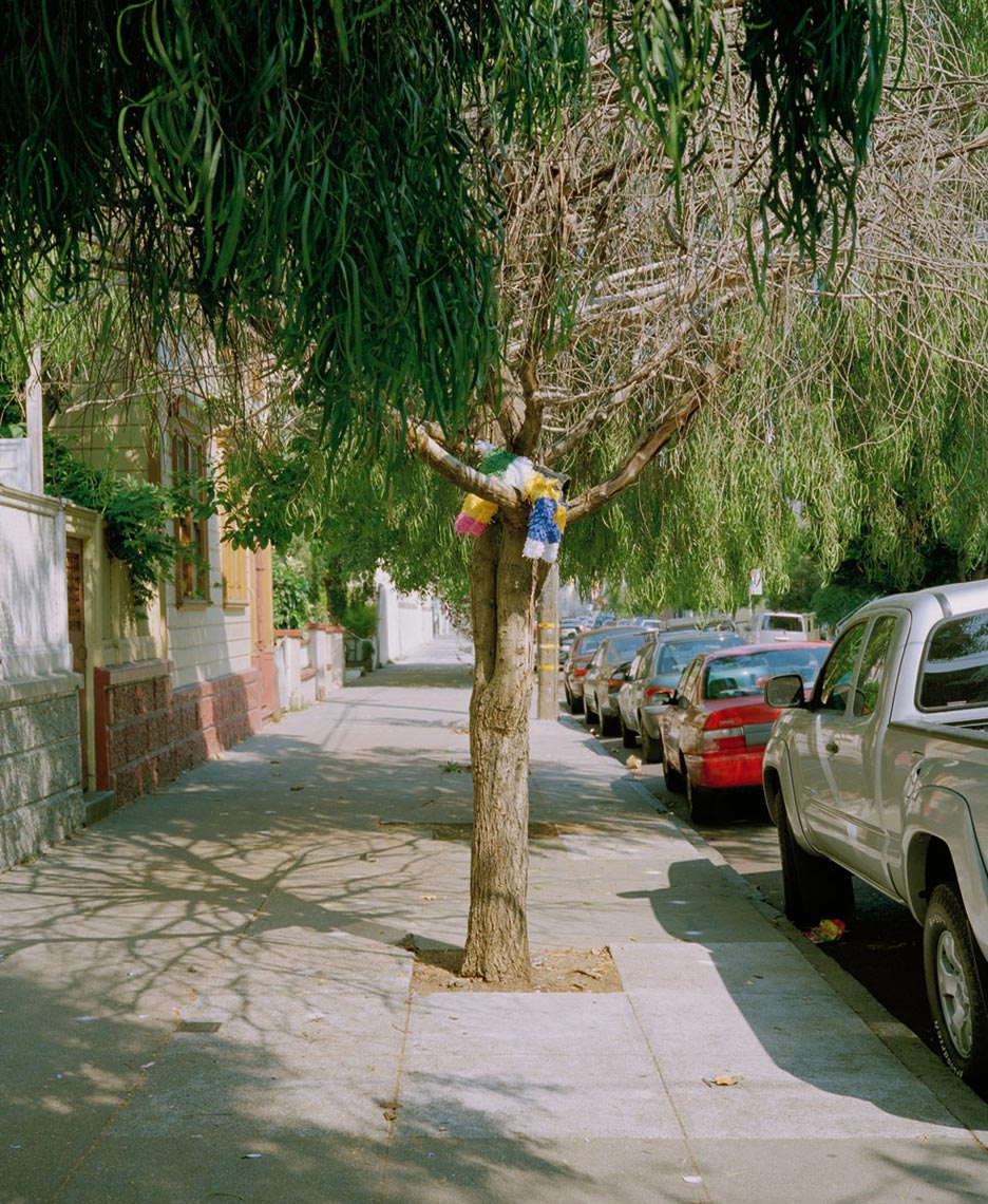 tree_4x5